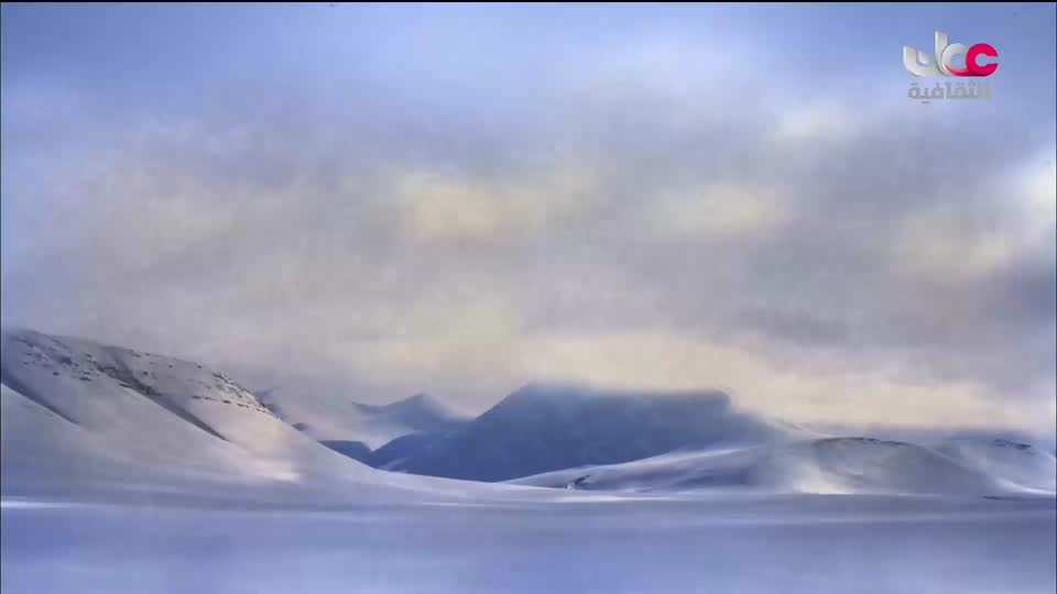 برنامج - كنوز الصحراء - الحلقة 6