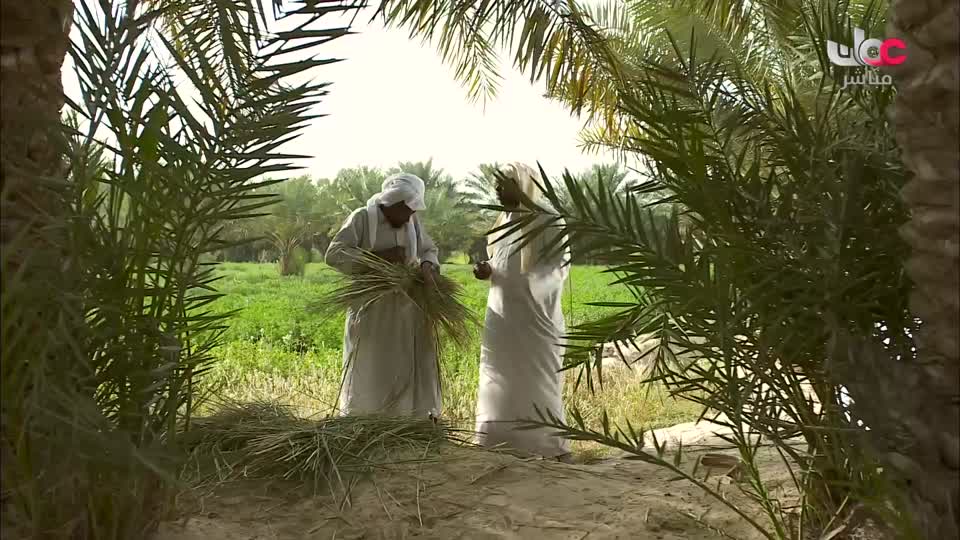 برنامج/الهندسة المعمارية