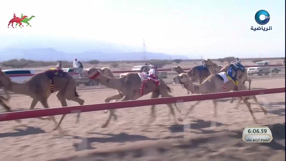 السباق السنوي للإتحاد العماني للهجن - الفليج 2026 - الحلقة 5