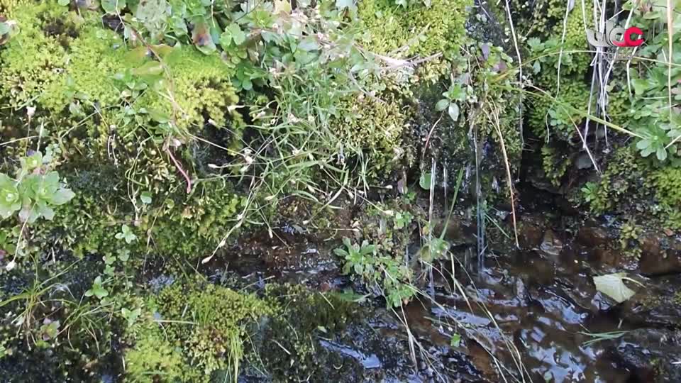 البرنامج الثقافي / ماذا تعرف عن