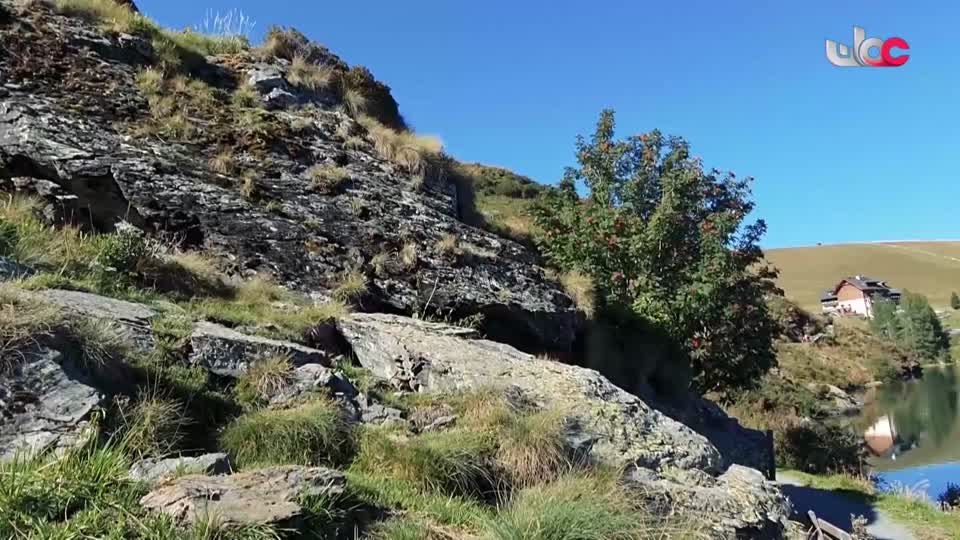 البرنامج الثقافي / ماذا تعرف عن