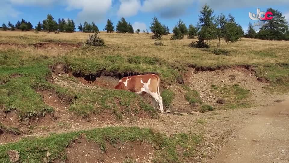 آذان العصـــــــر