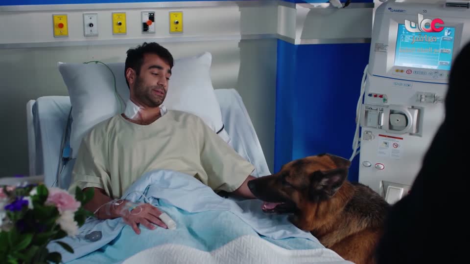 المسلسل الاجنبي