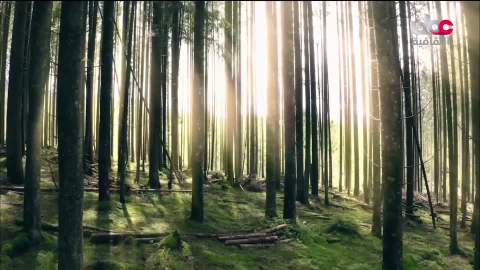 برنامج الثقافي - أسرار الحياة والكون - الحلقة 7