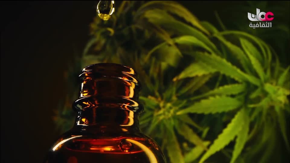 برنامج - كنوز الصحراء - الحلقة 7