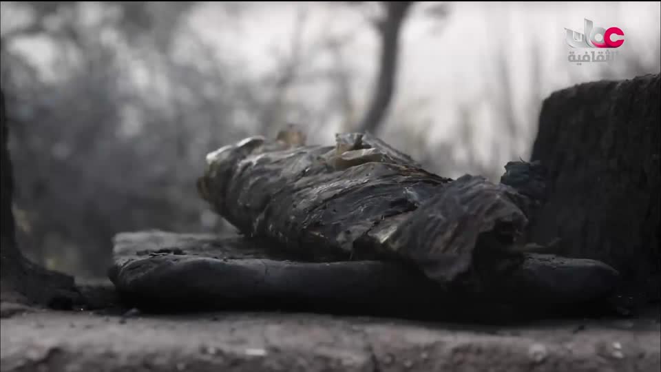 البرنامج الثقافي أرض ونار - تطور فن الطبخ - الحلقة 2