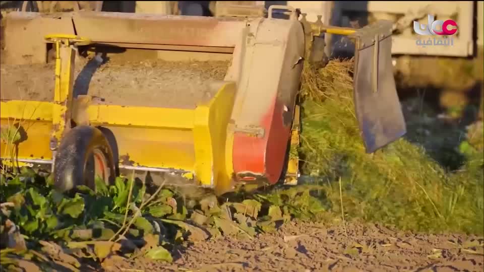 البرنامج الثقافي - أجمل ثمانون جزيرة في العالم