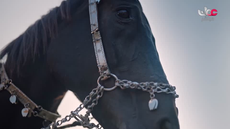 برنامج - المطبخ العربي - الحلقة 1