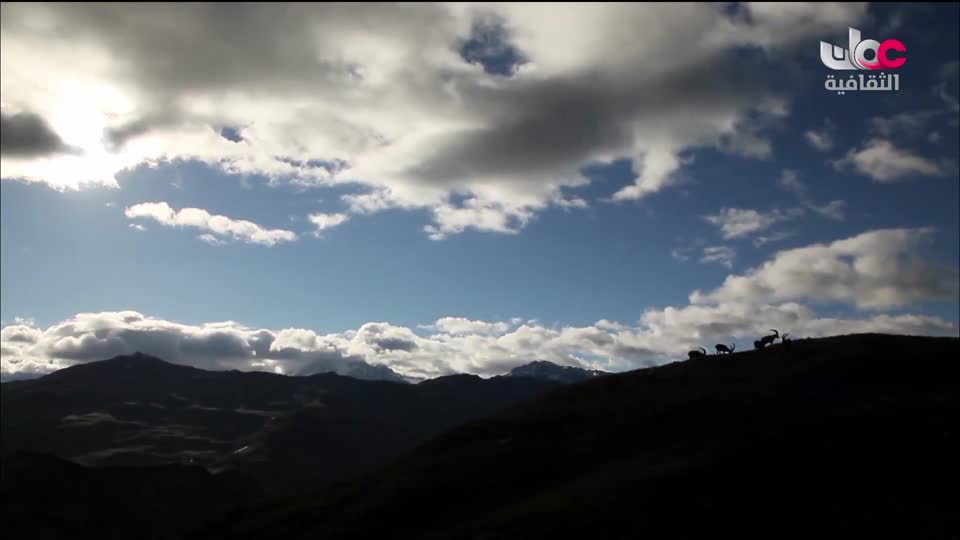 البرنامج الوثائقي - الأمن الغذائي - الحلقة 22