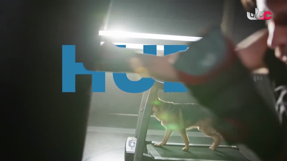 البرنامج الثقافي / ماذا تعرف عن