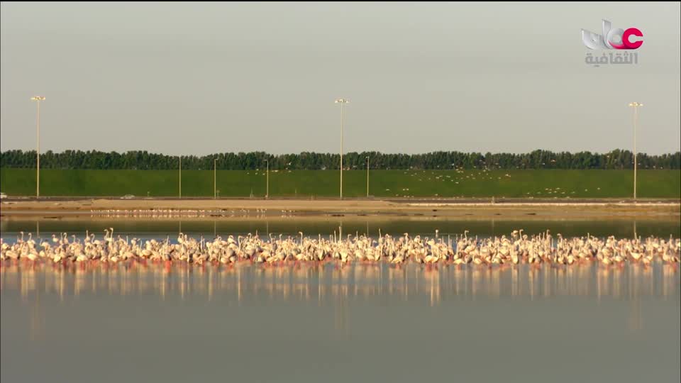 أغاني مفرغة - موشحات - لمركز عمان للموسيقى التقليدية - الحلقة 10