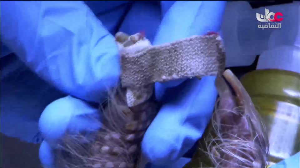 برنامج مكان و أثر