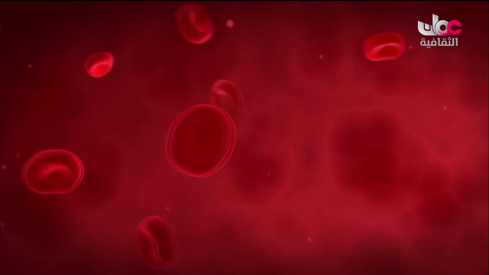 البرنامج الثقافي في خلقه شؤون - الموسم الثاني - الحلقة 5