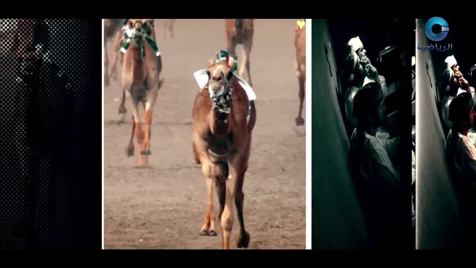 البطولة العربية ال30 للكرة الطائرة الشاطئية - مسقط 2025 - الحلقة 10