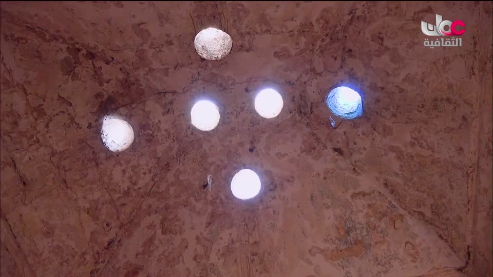 البرنامج الثقافي _ اطباء في الحياة البرية - الحلقة 33