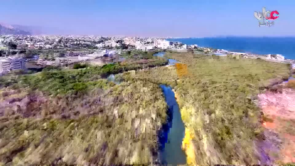 برنامج/أفنان