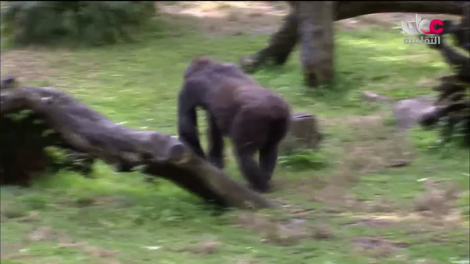 برنامج مكان و أثر