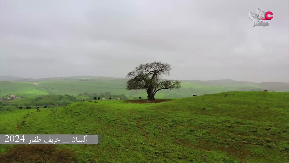 برنامج طيبات - الموسم الثالث - الحلقة 2