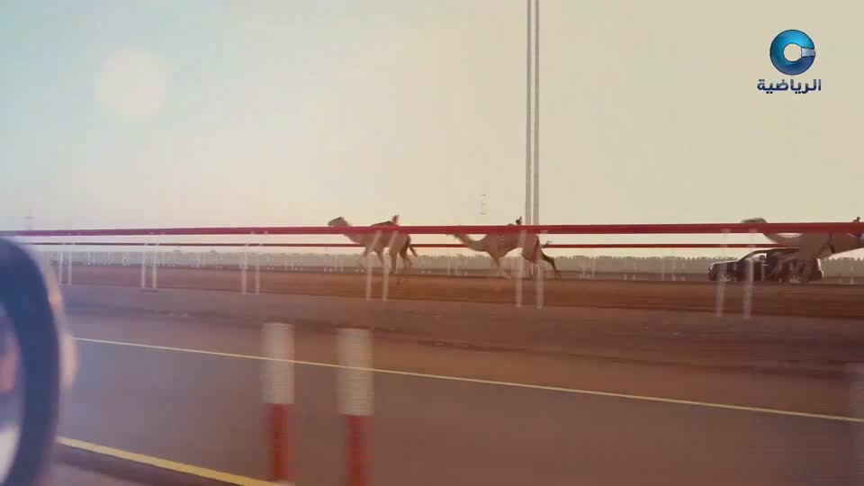 البطولة العربية ال30 للكرة الطائرة الشاطئية - مسقط 2025 - الحلقة 8