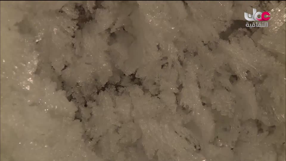 البرنامج الثقافي - لغتنا هويتنا - الموسم الثاني - الحلقة 4