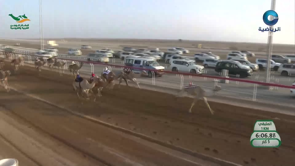 مهرجان البشائر السنوي التاسع لسباقات الهجن ـ 2026