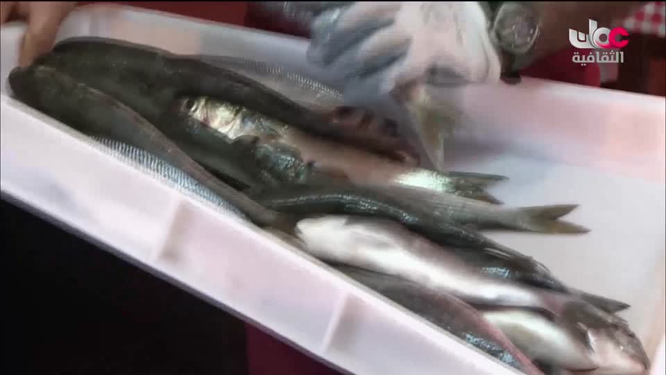 البرنامج الثقافي - الفضاء الشاسع - الحلقة 8