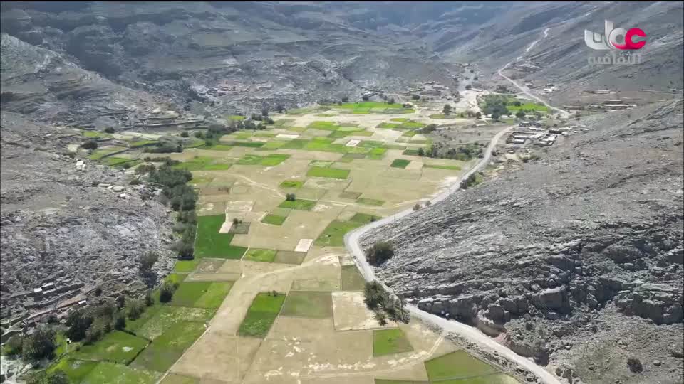 البرنامج الثقافي _ اطباء في الحياة البرية - الحلقة 35