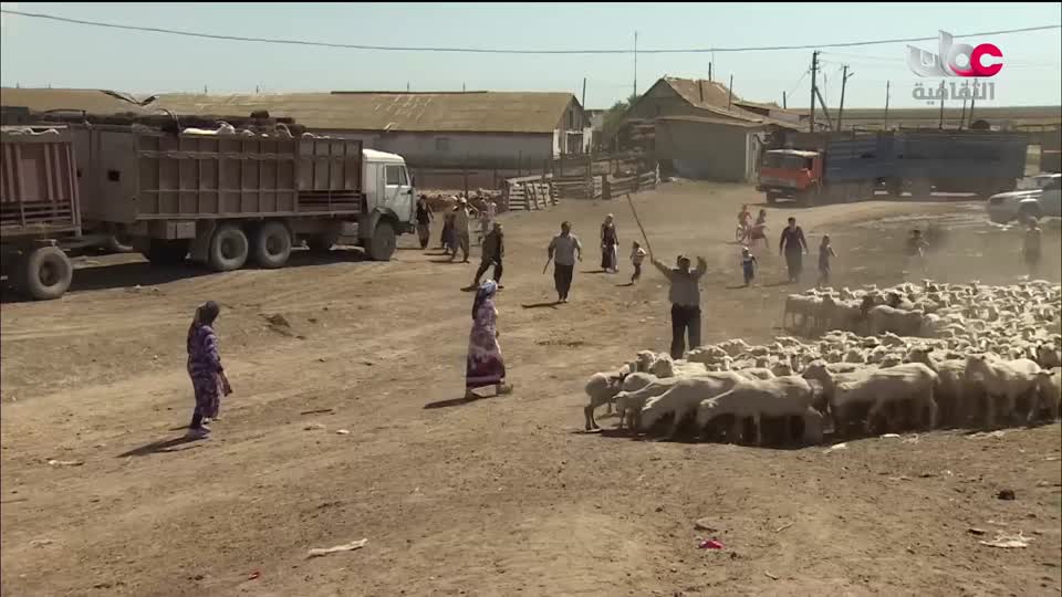 وثائقيات من روسيا - الحلقة 14