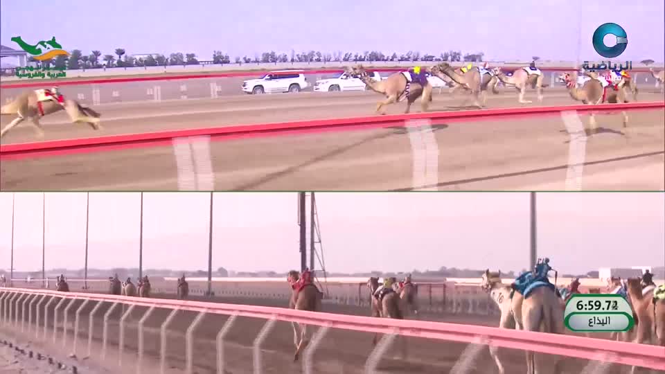 مهرجان البشائر السنوي التاسع لسباقات الهجن ـ 2026