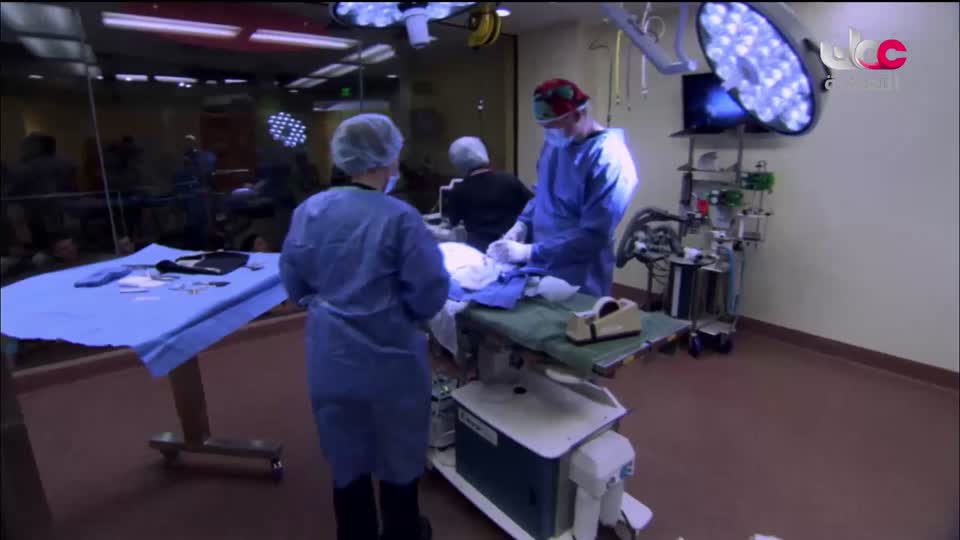 برنامج مكان و أثر