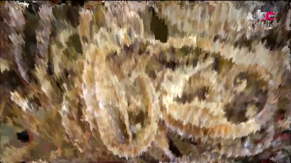 برنامج _ البوصلة - الحلقة 6