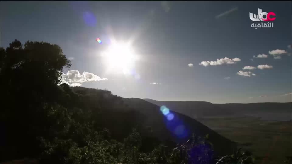 البرنامج الثقافي - الصراع من أجل البقاء