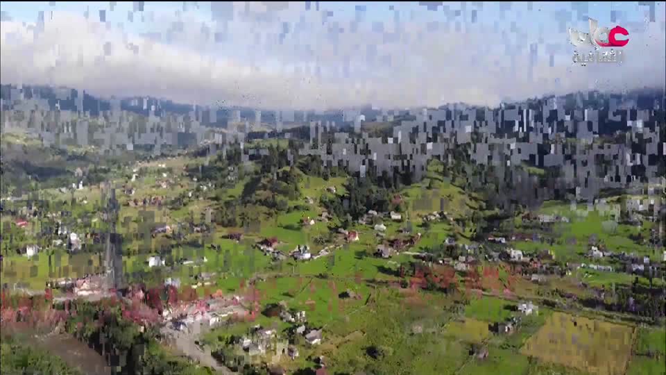 البرنامج الثقافي - عالم الأشجار