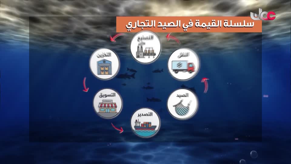 برنامج/عباب