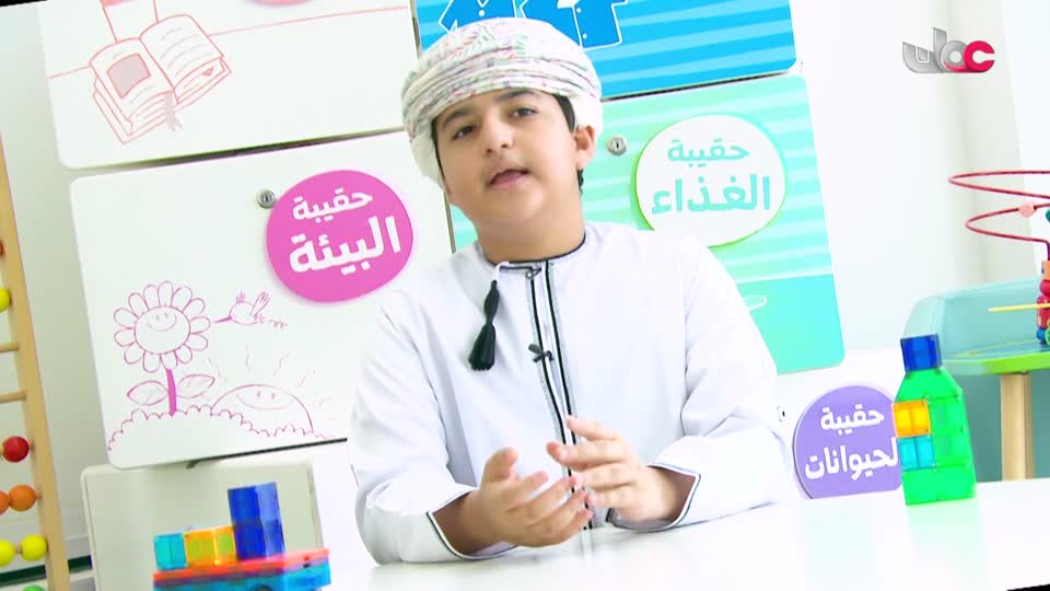 برنامج/قمرة