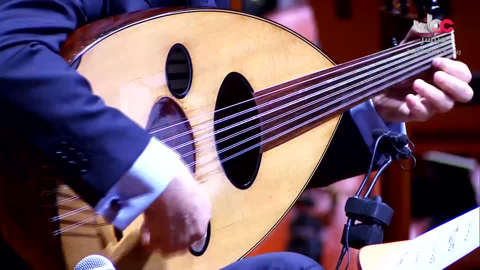 حفلات غنائية