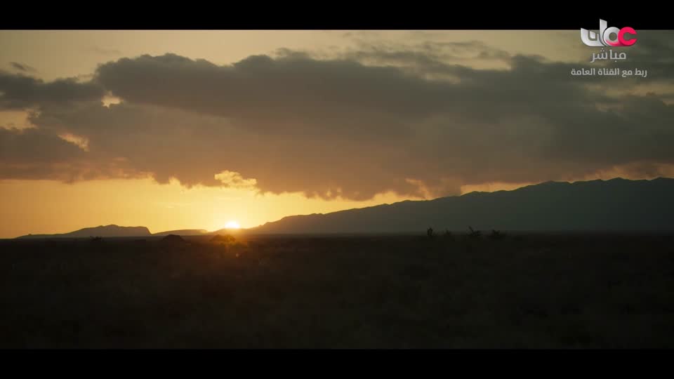 المسسل العماني/غراق فلاح