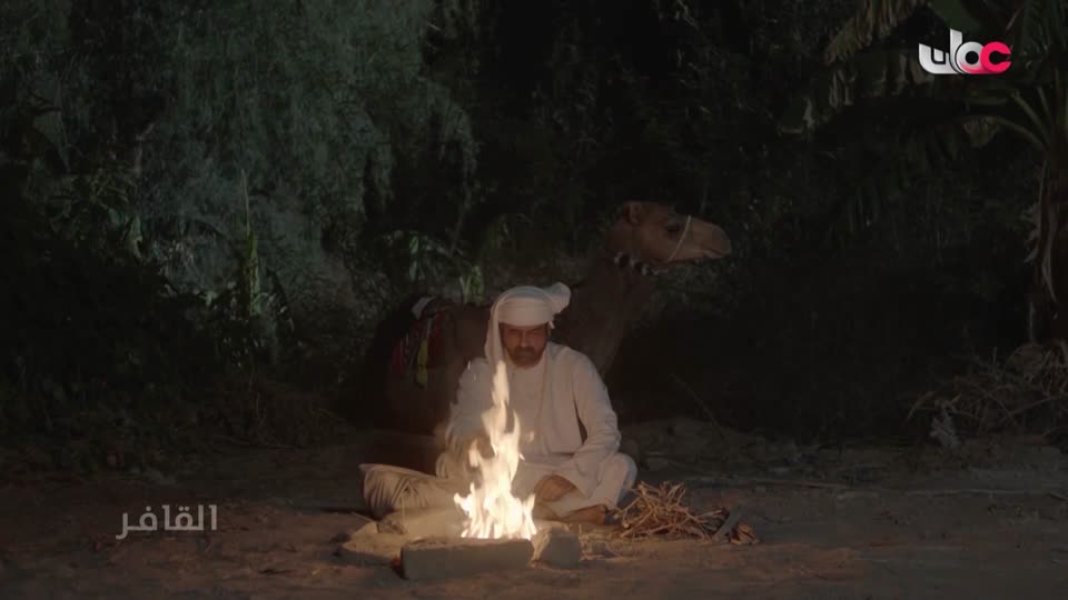 برنامج/متون