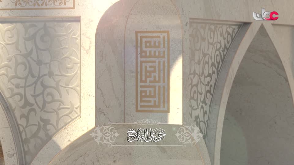 برنامج/أفنان