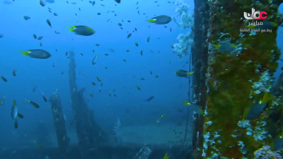 برنامج/سحر الاعماق