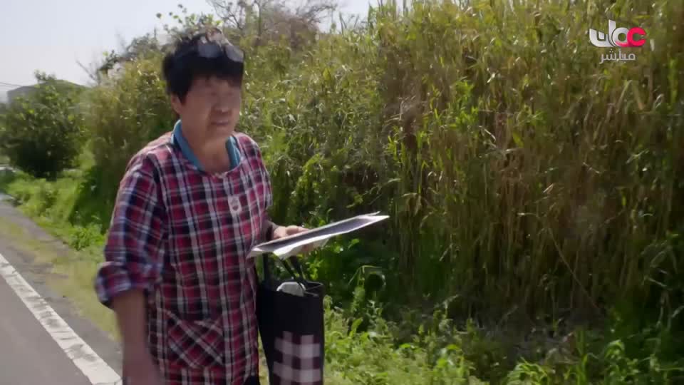 برنامج - المطبخ العربي - الحلقة 15