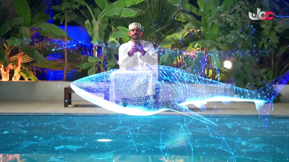 برنامج/أفنان