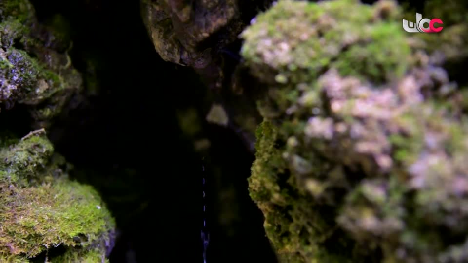 البرنامج الثقافي - طاقة الحياة والكون - الحلقة 6