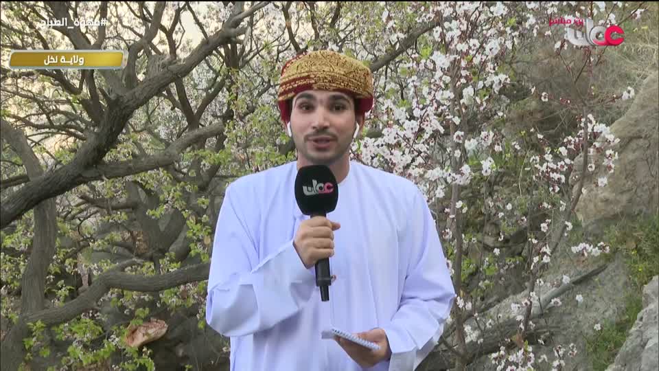 برنامج قهوة الصباح 2026 - الحلقة 31