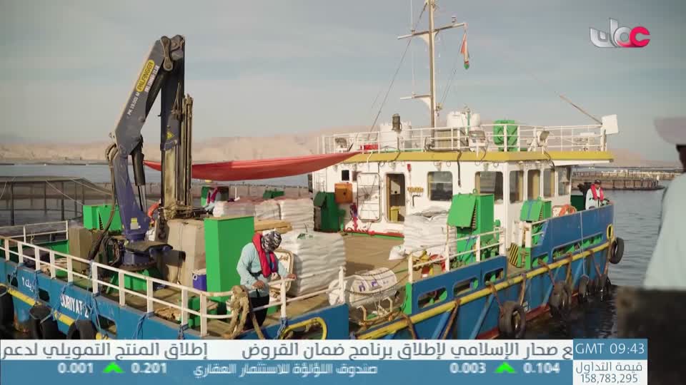 برنامج/عباب