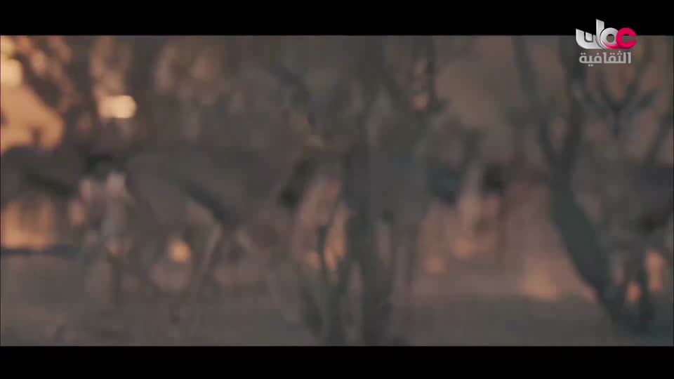 البرنامج الثقافي - افضل فنون العمارة - الحلقة 4