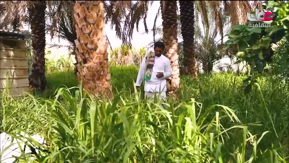 البرنامج الثقافي - ديكورات - الحلقة 5