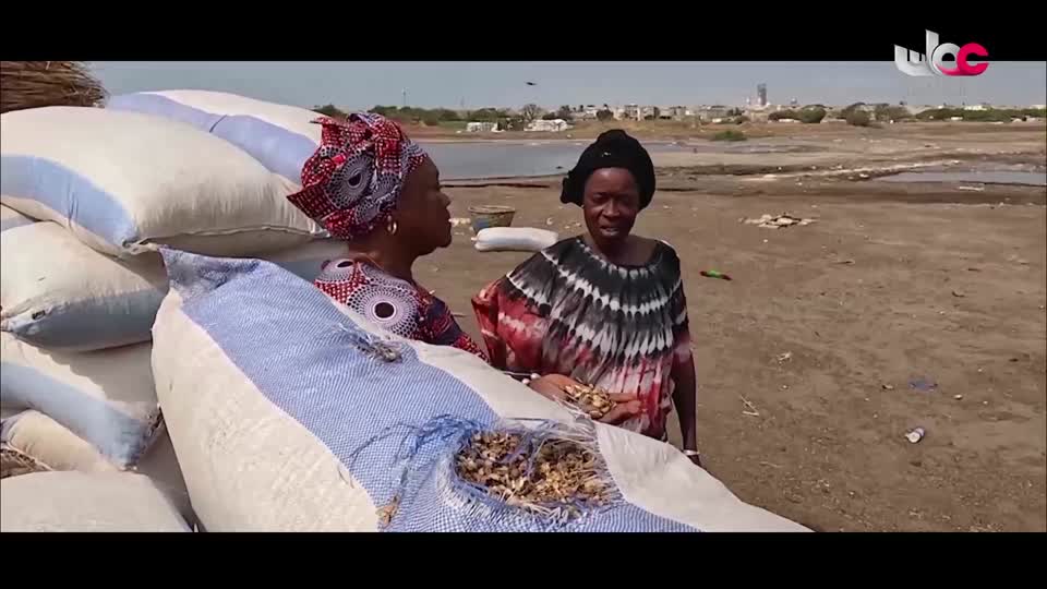 لوحات من العالم - الحلقة 49