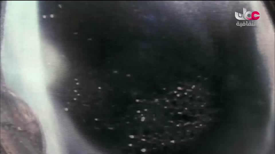 برنامج / لغتنا هويتنا