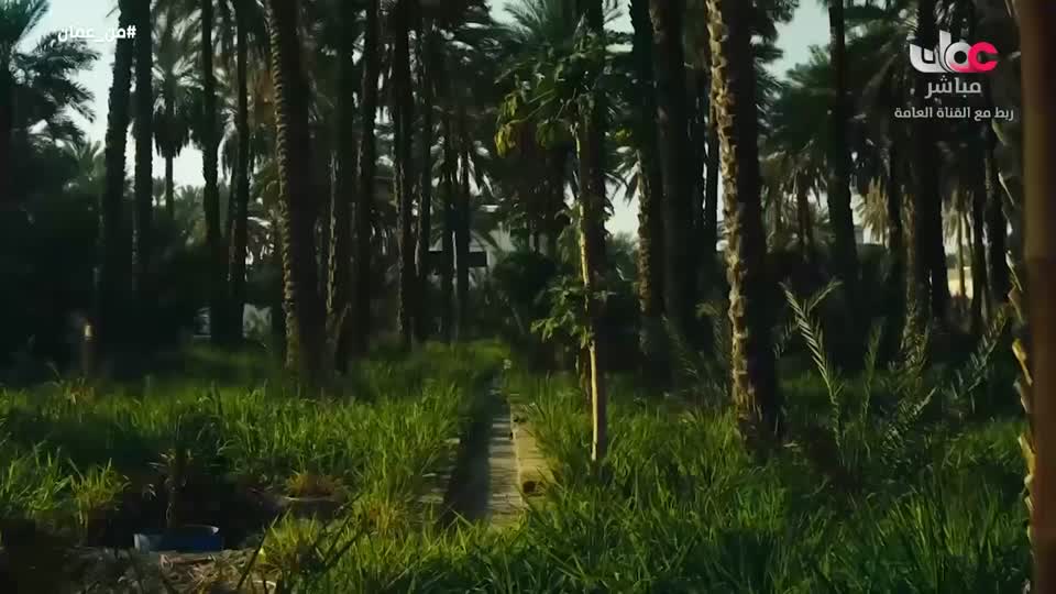 برنامج - من عمان 2026 - الحلقة 13